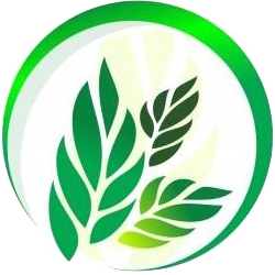 MotoKremen